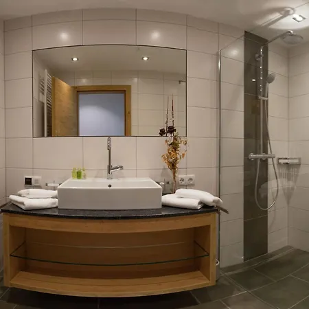 In Near Lifts Mayrhofen