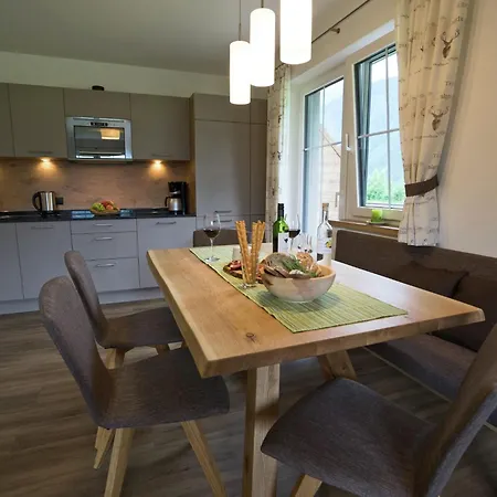 In Near Lifts Appartement Mayrhofen